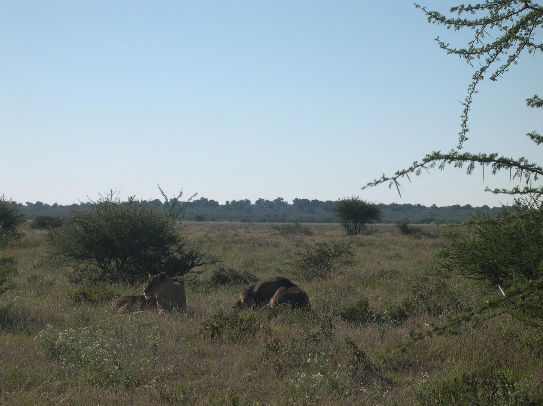 Dithakong Bed & Breakfast主图