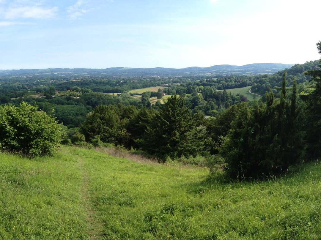 Ashford Hangers National Nature Reserve景点图片