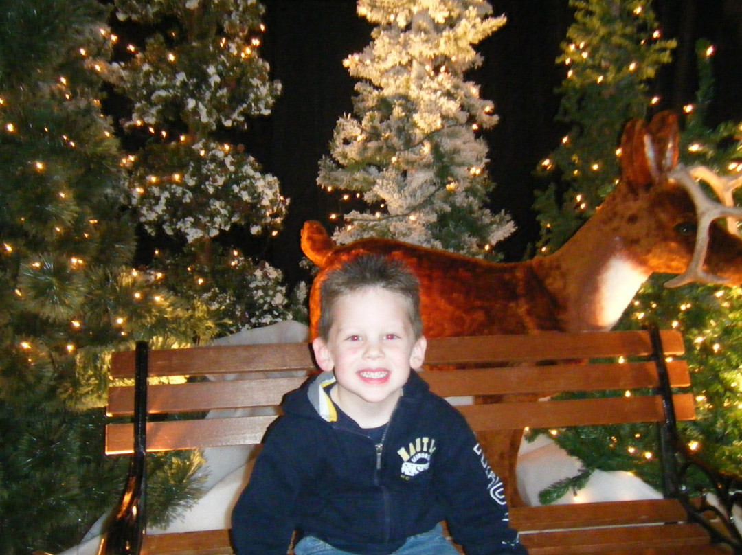 Festival of Trees-达文波特必去景点