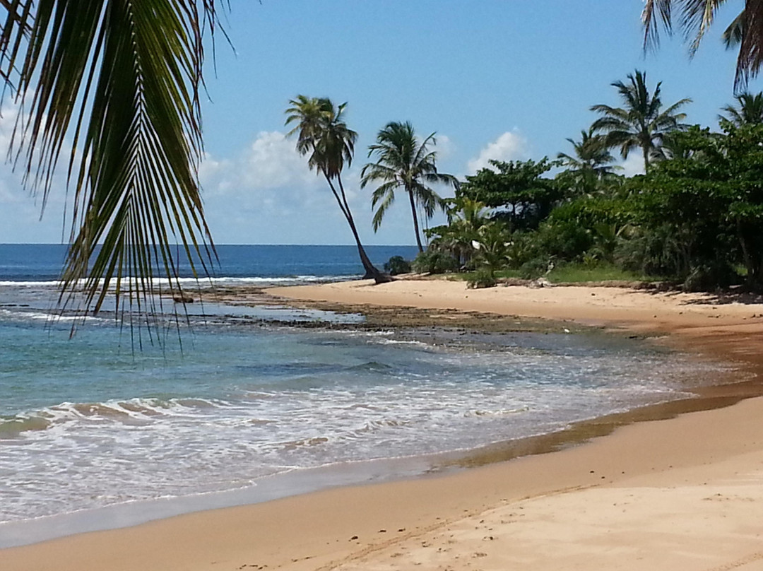 Tres Coqueiros Beach-Barra Grande必去景点