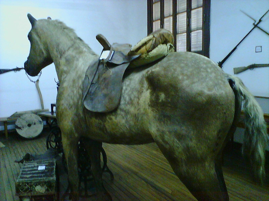 Museo Historico Provincial A. Gnecco景点图片