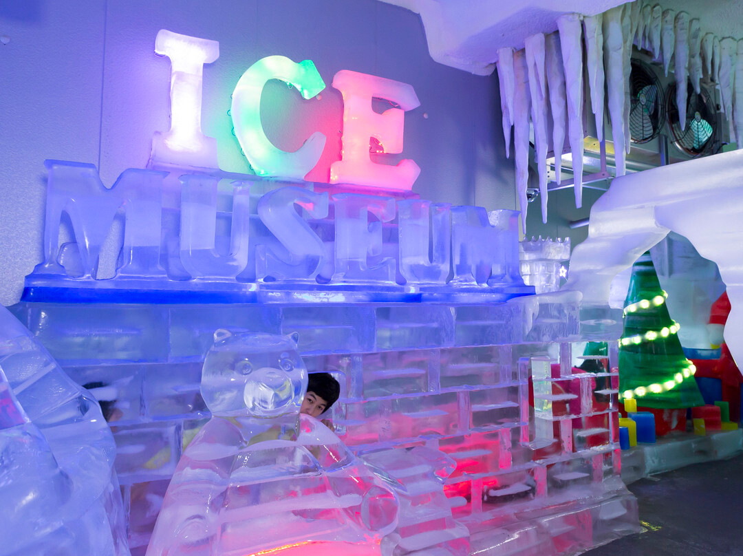 特丽爱3D美术馆-首尔必去景点