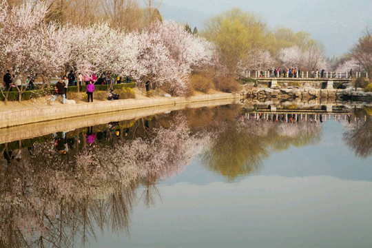 植物园-北京市必去景点