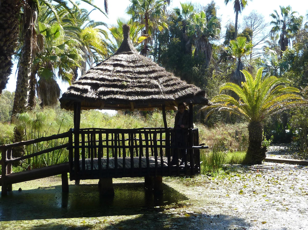 Les Jardins Exotiques De Bouknadel-拉巴特必去景点