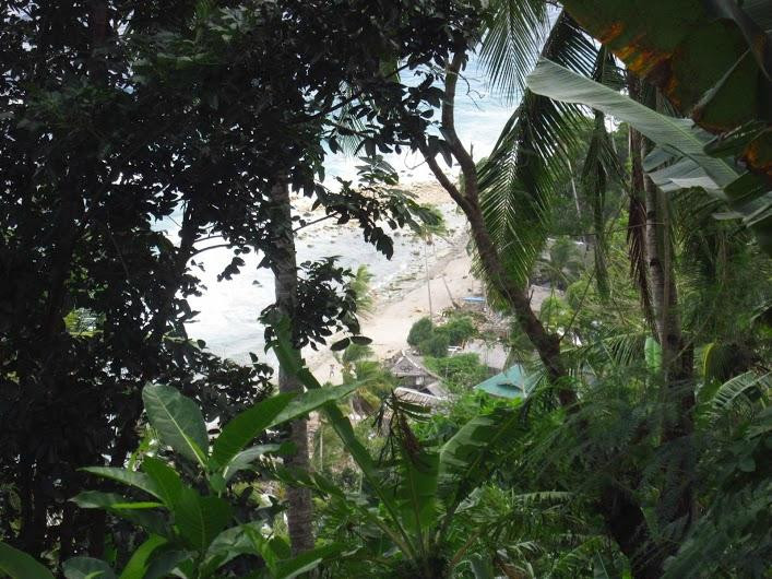 David's Trek-Apo Island必去景点