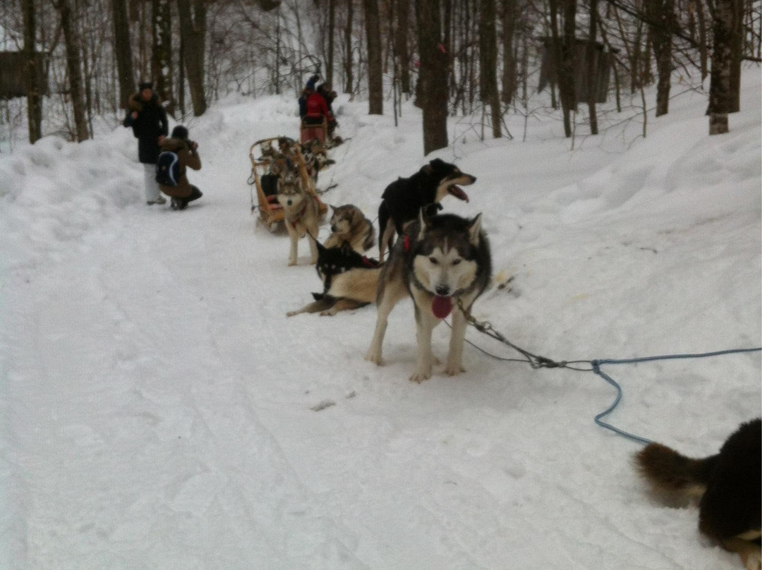 Aventure du Husky-Labelle必去景点