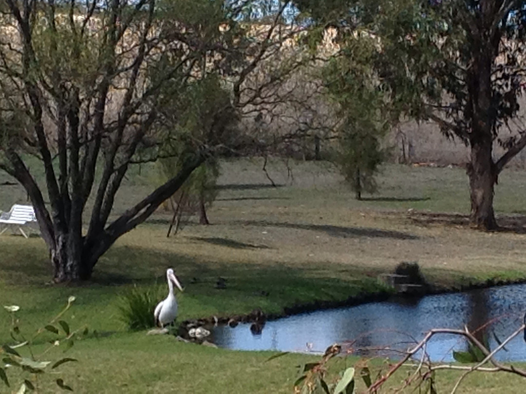Sapphire City Caravan Park