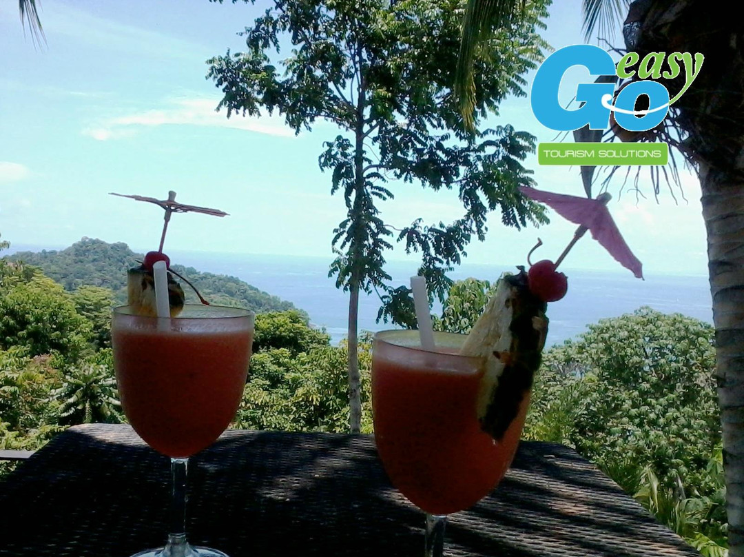 Go Easy Private Tours-圣何塞必去景点