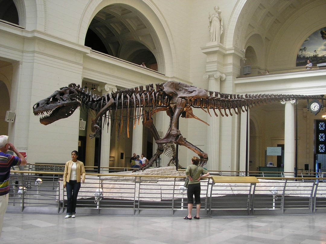 菲尔德自然史博物馆-芝加哥必去景点