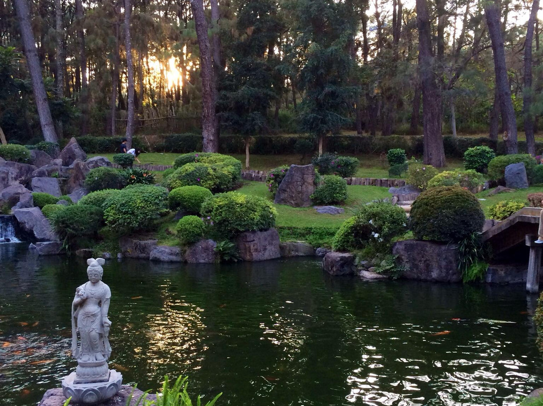 Bosque Los Colomos景点图片