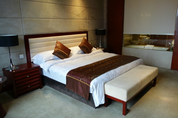 海宇温泉大酒店-客卧
