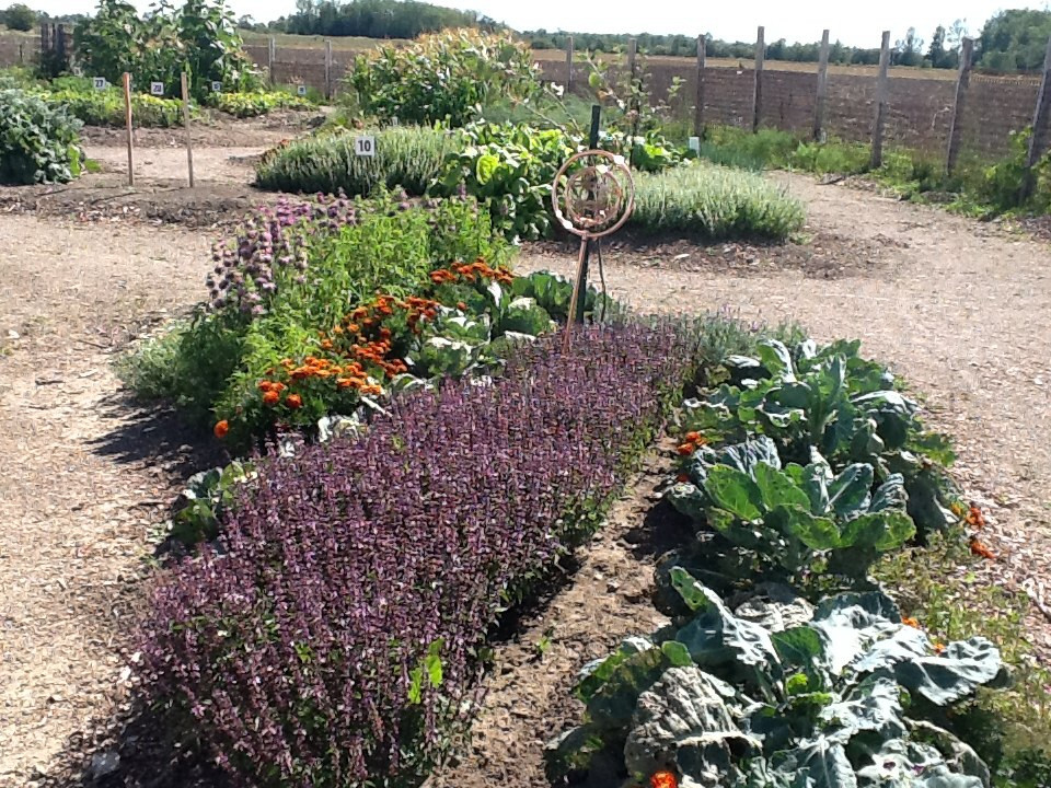 Bruce Botanical Food Gardens景点图片