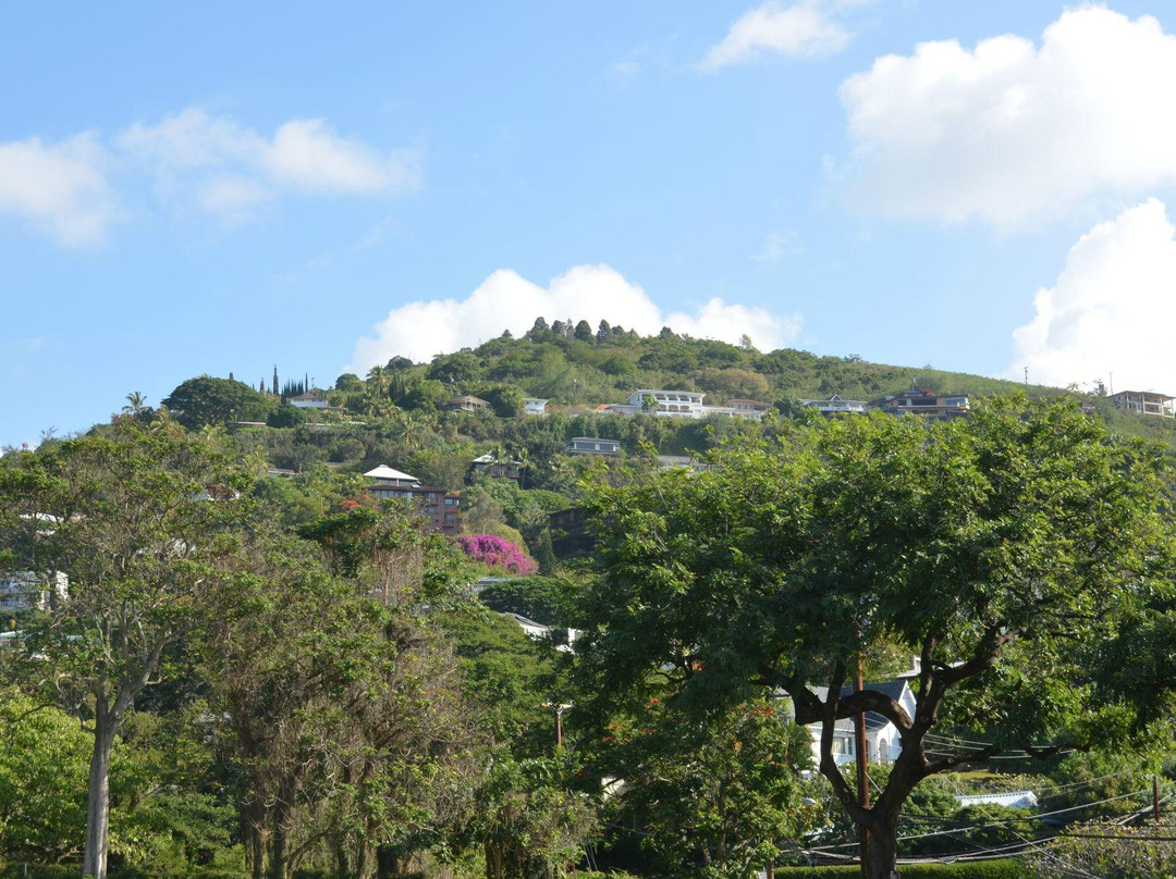 坦特拉斯观景台 普吾瓦拉卡州立公园-火奴鲁鲁必去景点