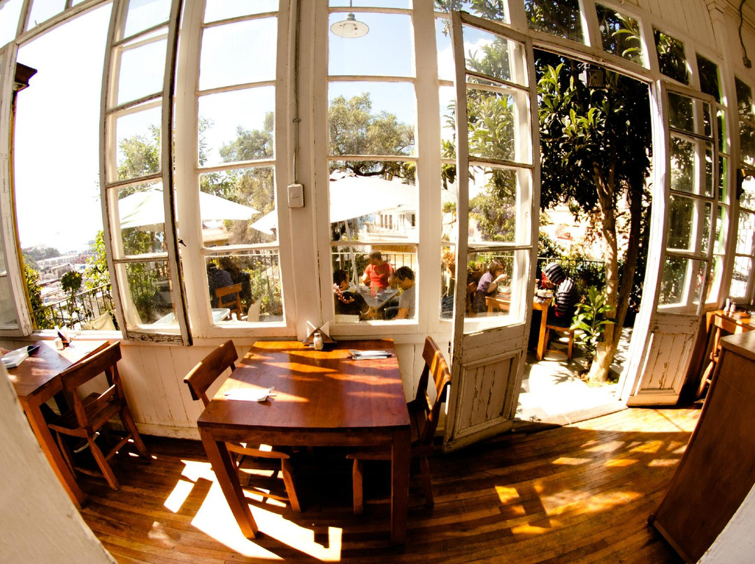 瓦尔帕莱索餐馆和美食-El Peral