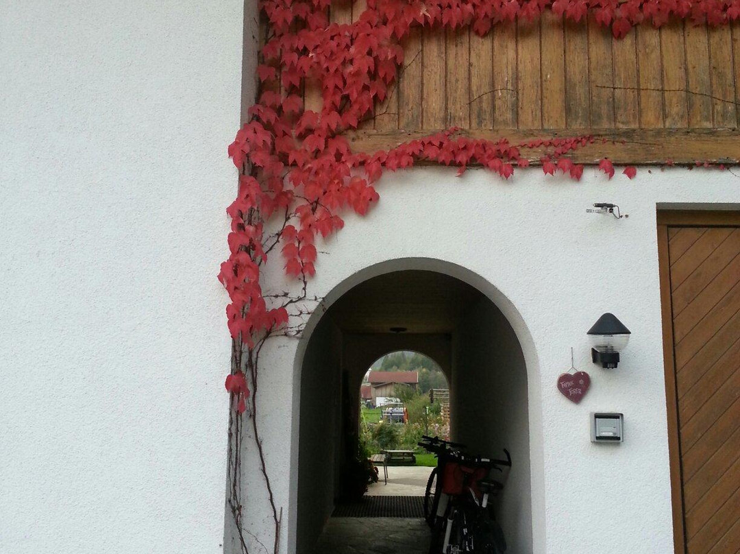 Apartement Forer - Egitz
