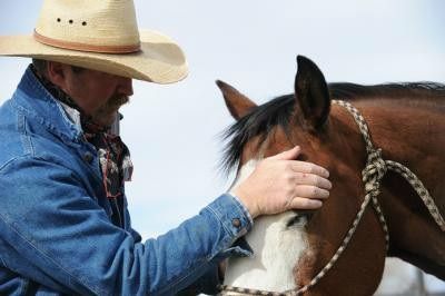 Blue Sky Adventures-Wanship必去景点