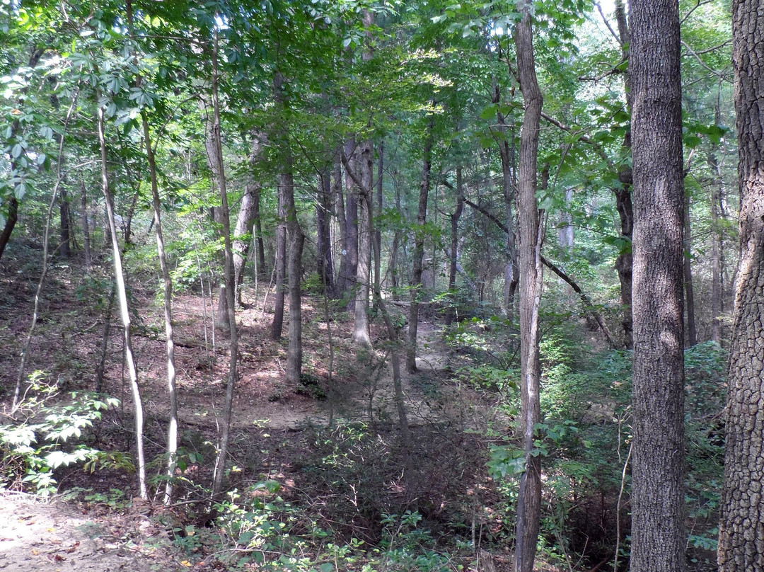 Rocky Face Mountain Recreational Area-Hiddenite必去景点