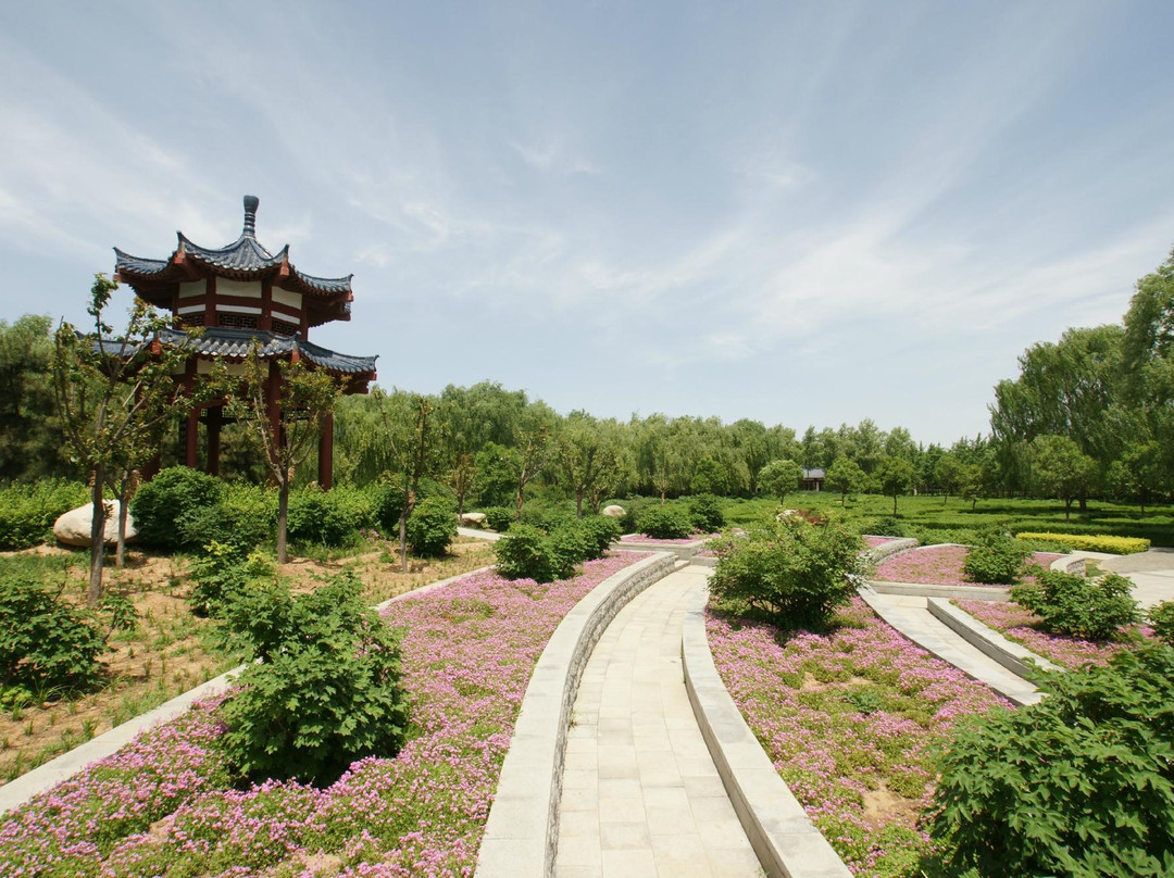 隋唐城植物园-洛阳市必去景点