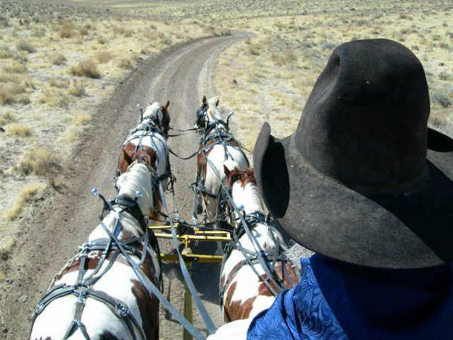 TNT Stagelines-弗吉尼亚市必去景点