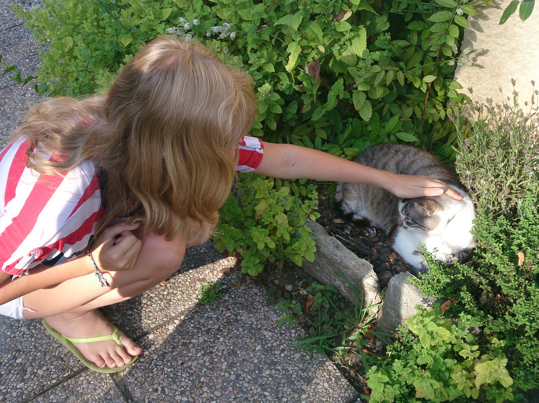 Les Forges de la Massotte主图