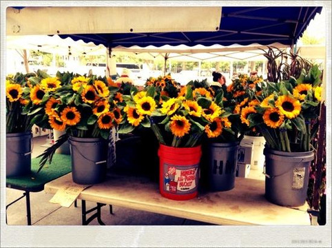 渡轮广场农夫市场-旧金山必去景点