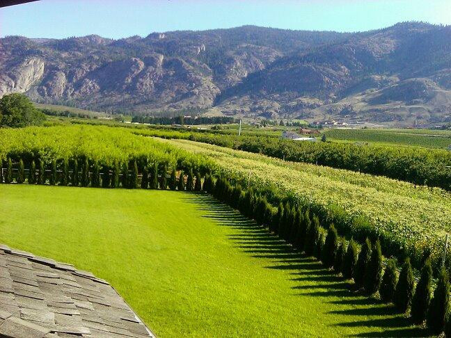 Bridesville酒店住宿-Kasa de Piedra Guesthouse