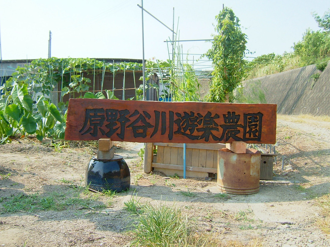 Haranoyakawarayuraku Park景点图片