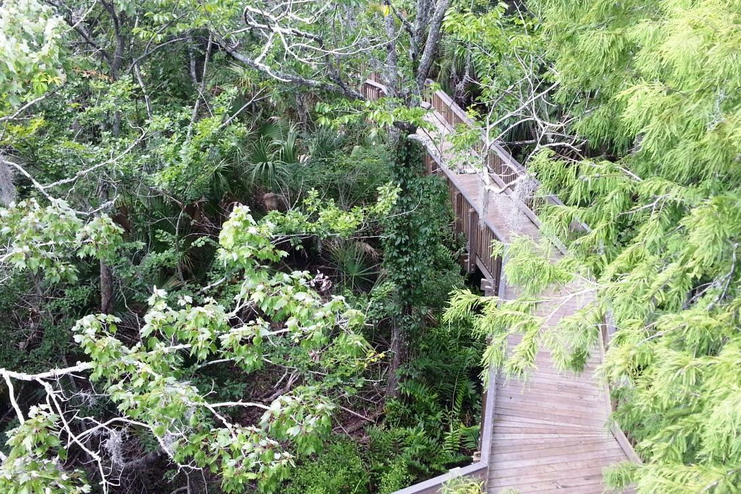John Chesnut Sr. Park-帕姆港必去景点