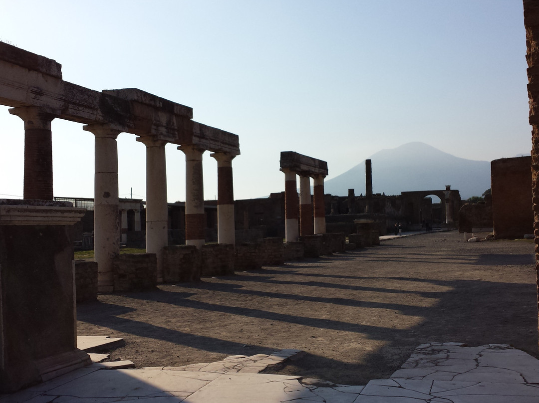 Guided Tours of Pompeii with Livio-庞贝必去景点