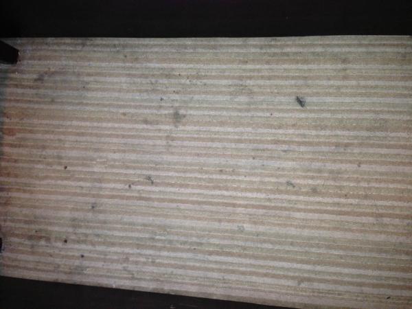 东方明珠大酒店-客卧