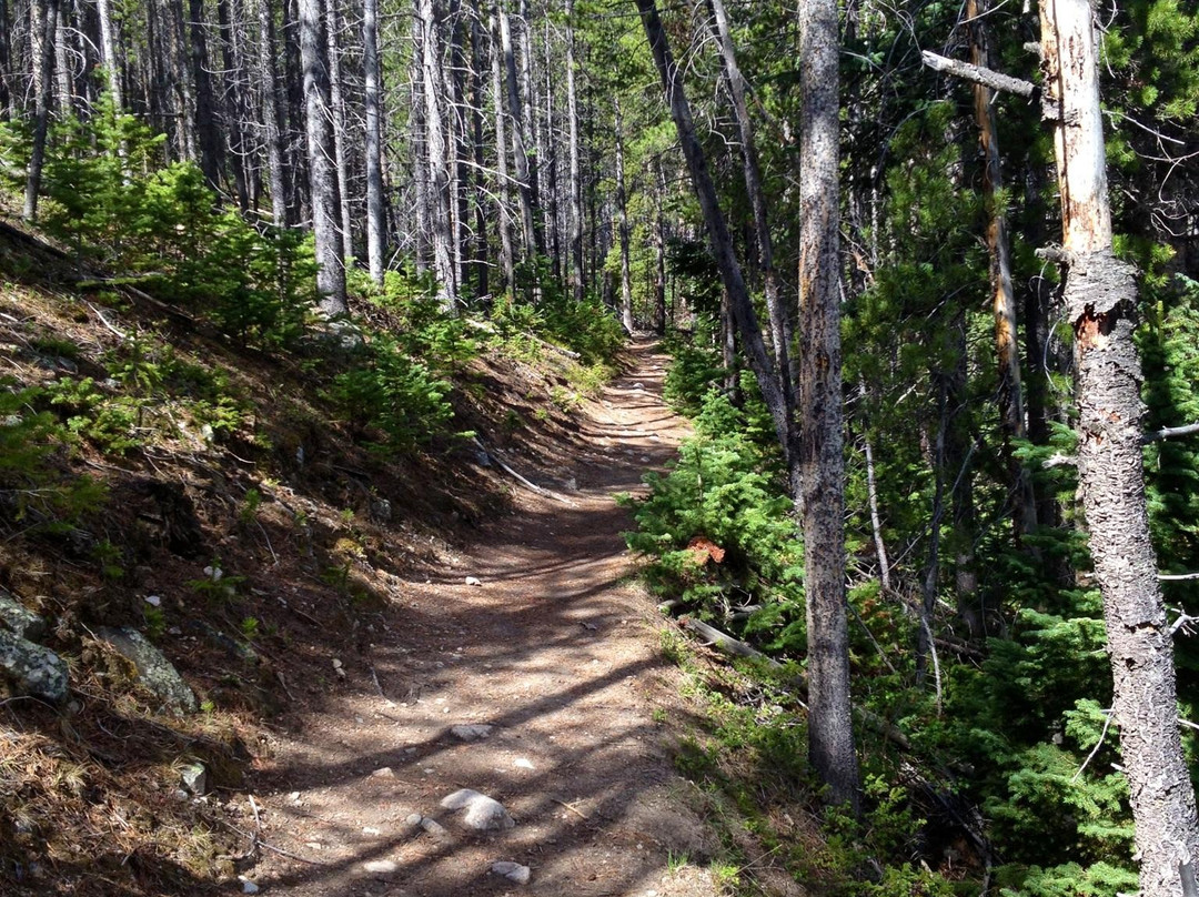 Lake Fork Trail-雷德洛治必去景点