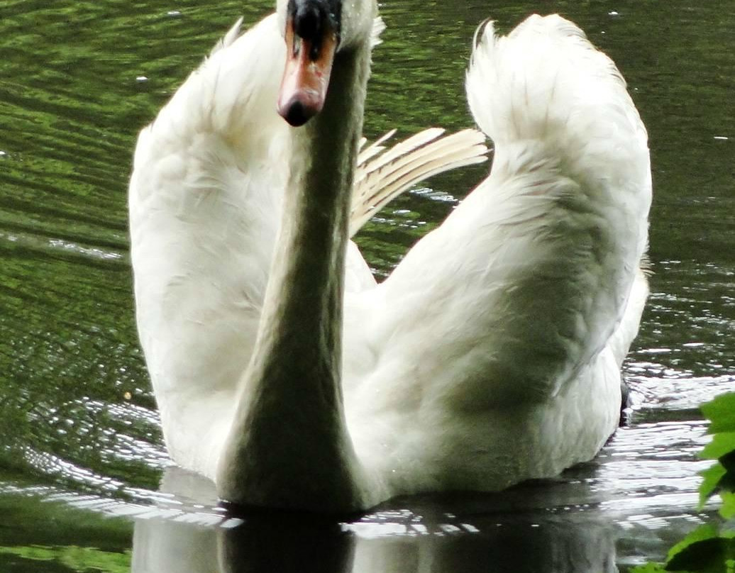 Cedar Run Wildlife Refuge景点图片