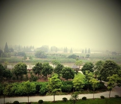 鸿华度假酒店-客卧