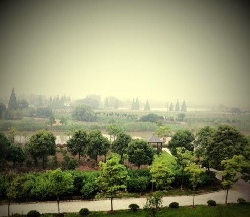 鸿华度假酒店主图