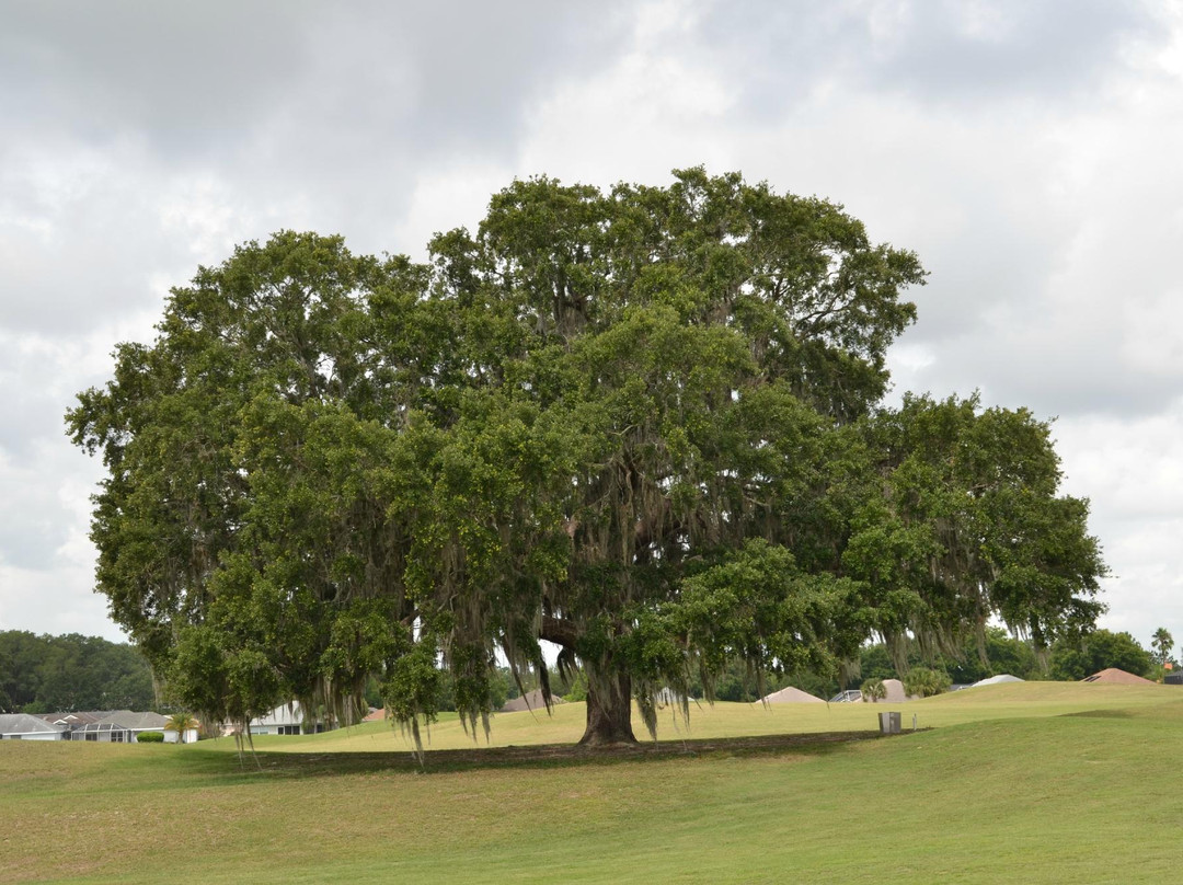 Stonecrest Golf Club景点图片