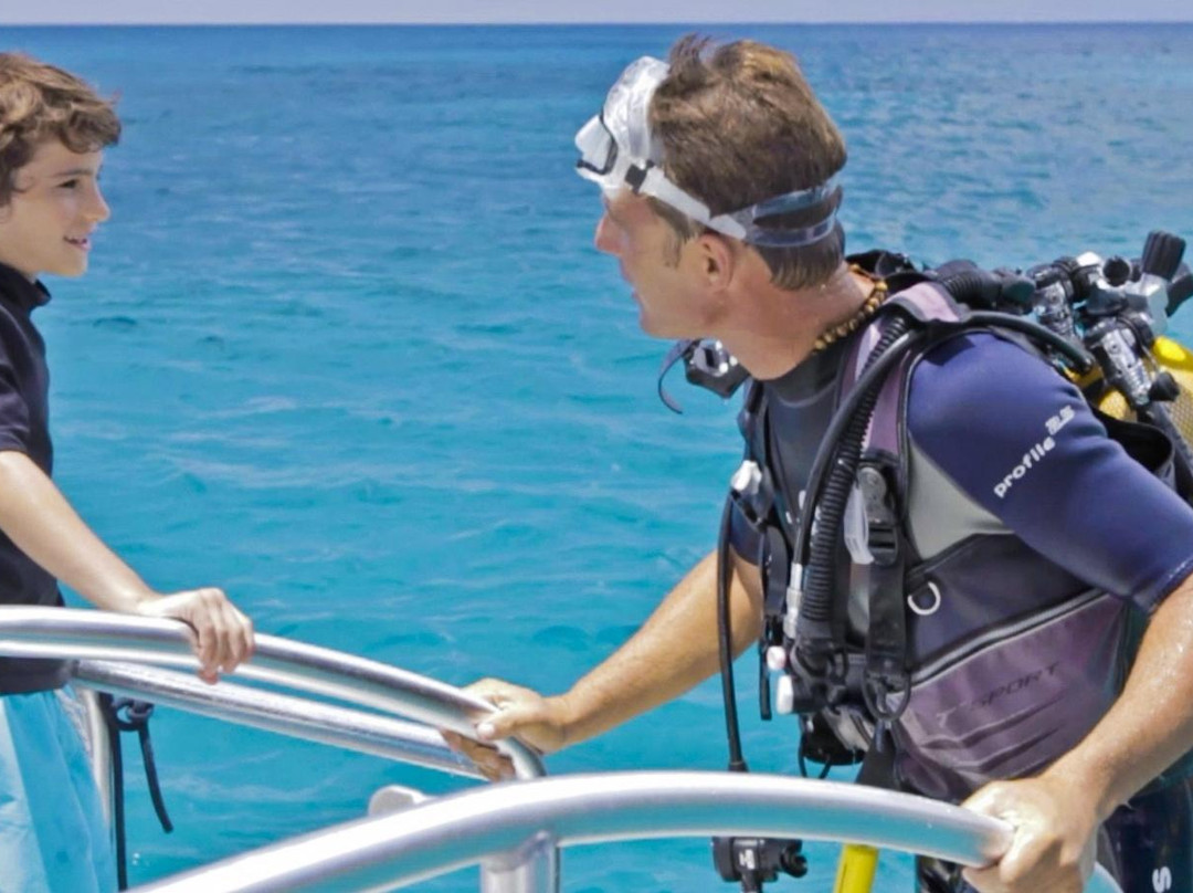 Plongee Caraibes Catamaran-居斯塔维亚必去景点