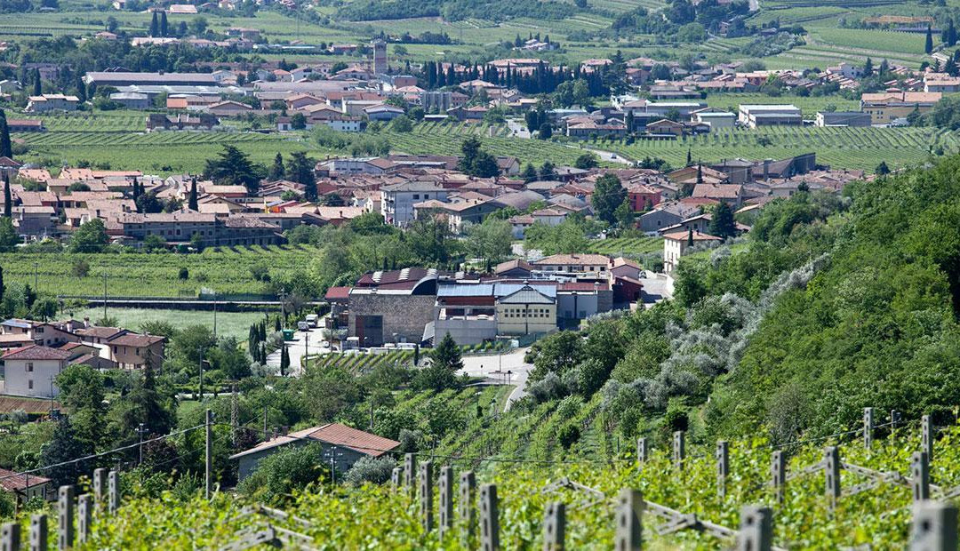 Giuseppe Campagnola Winery景点图片