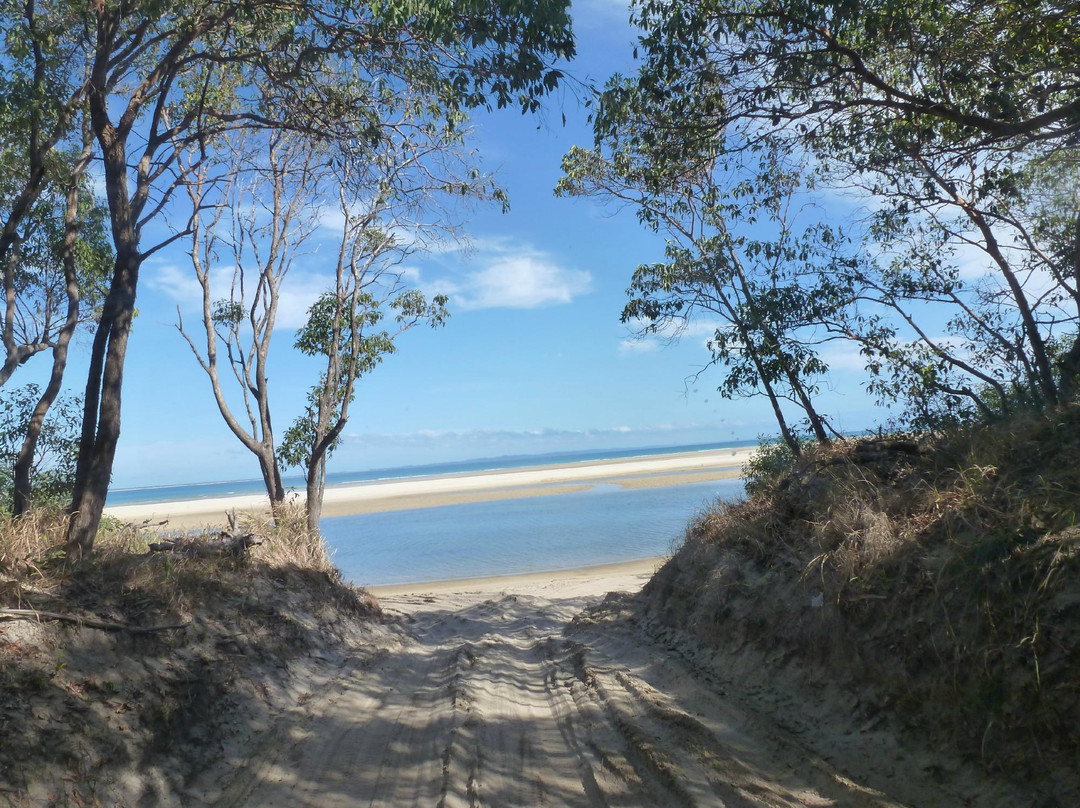 Everglades Eco Safaris-努沙必去景点