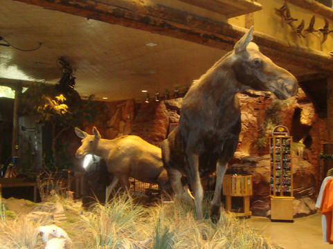 低音乐器专卖店-拉斯维加斯必去景点