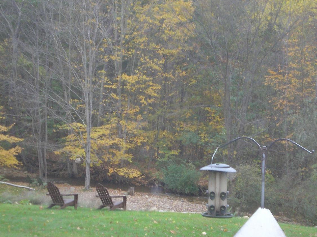 East Dorset酒店住宿-Toll Road Inn