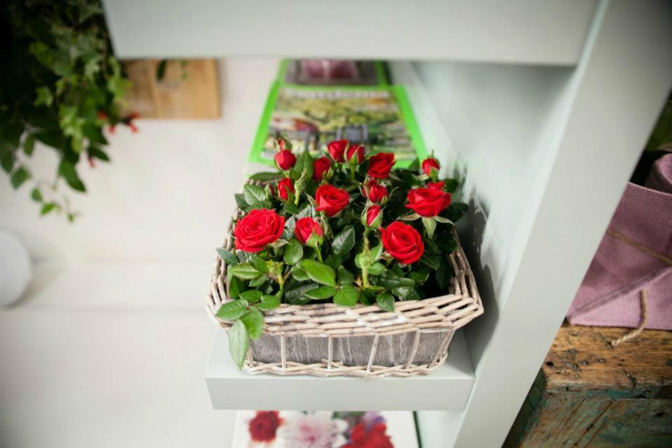 Bouquet Boutique -Fleuriste--San Daniele del Friuli必去景点
