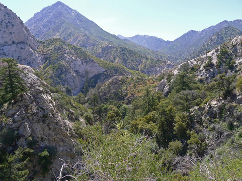 洛杉矶国家森林-阿卡迪亚必去景点