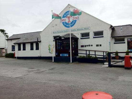 Anglesey Sea Zoo Sw Mor Mon景点图片