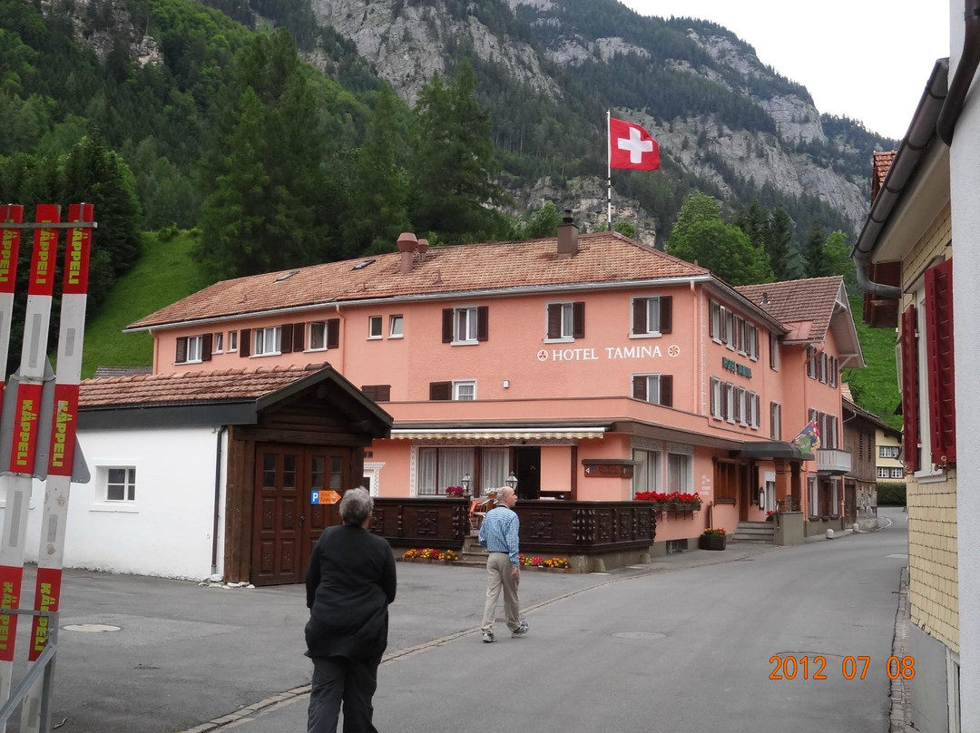 Vattis酒店住宿-Tamina Hotel