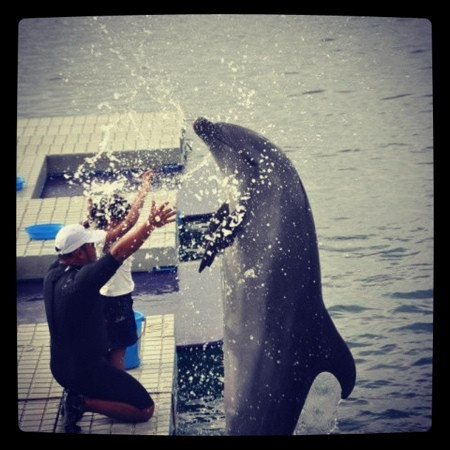 Ocean Adventure-苏比克湾自由贸易区必去景点