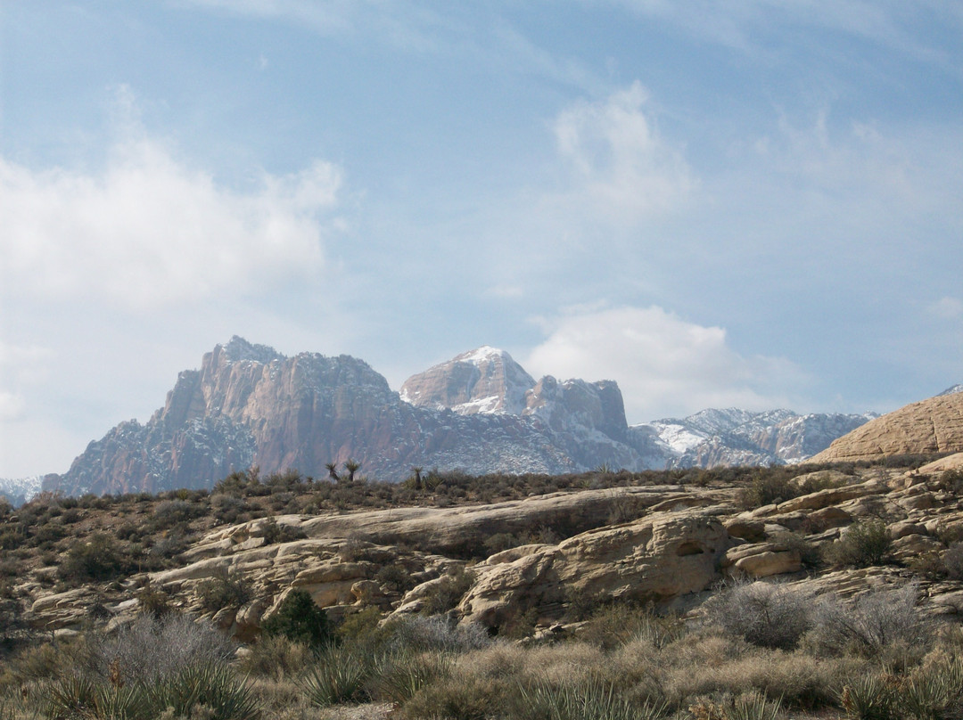 红岩峡谷国家野生生物保护区-拉斯维加斯必去景点