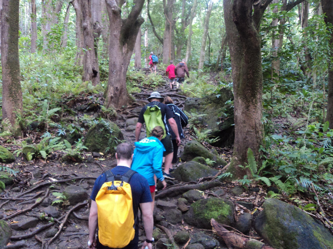 Duke's Kayak Adventures-Wailua必去景点