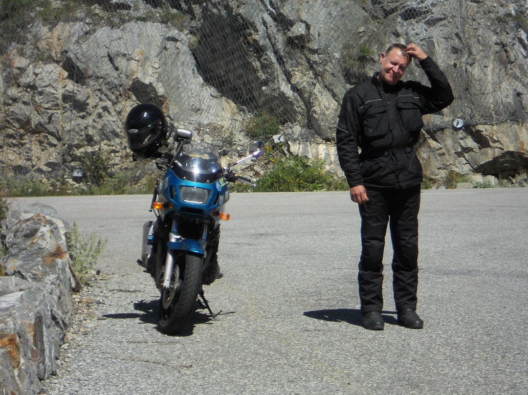 Schwarzwaldgasthof Gruener Baum主图