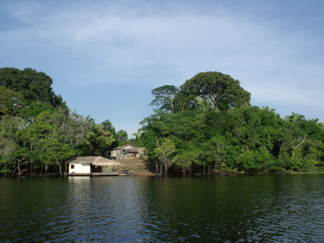 Amazon Tarzan Lodge
