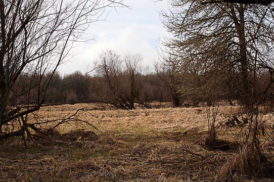 Sauvie Island Wildlife Area-波特兰必去景点